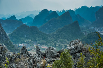 如何去除虾头上的黑色物