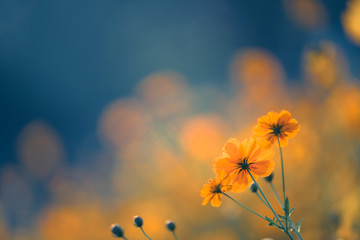 经典古代耽美小说推荐