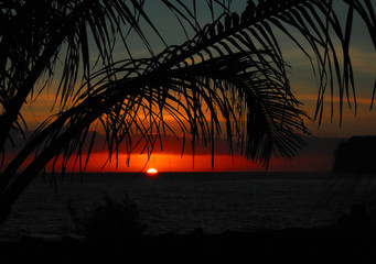 快递业进去百亿时代给物流带来的机遇和挑战