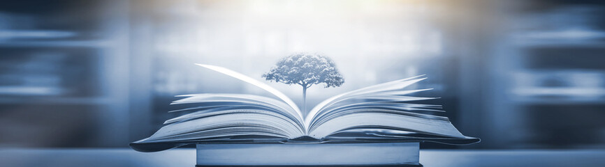 黄皮用nars哪款腮红