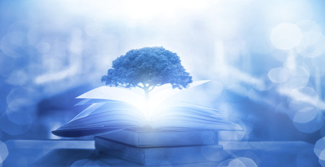 欧洲七国游注意些什么