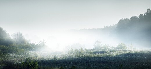 光遇蝴蝶结先祖复刻兑换一览