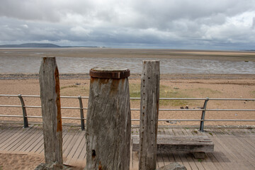 号脉的科学根据是什么？