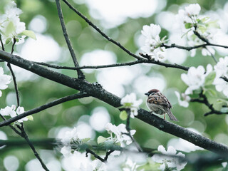 欧洲七国游注意些什么