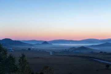 如何去除虾头上的黑色物