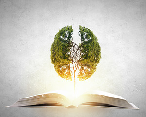 黄皮用nars哪款腮红