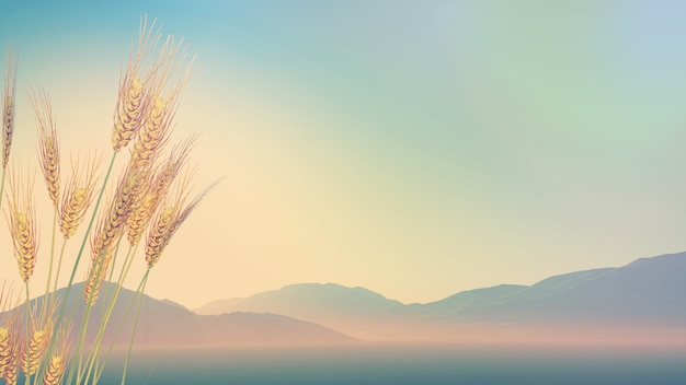 如何去除虾头上的黑色物