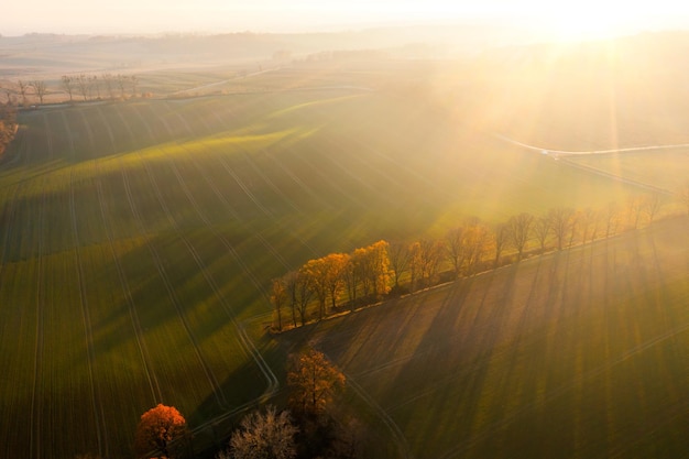 号脉的科学根据是什么？