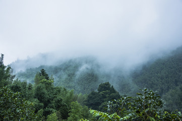 如何去除虾头上的黑色物